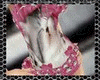 *Yo* Corset /01