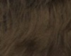 [WF] Brown Hair 2