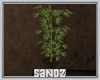 S. Weed Plant