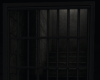 Cell Door 13