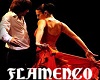 FLAMENCO COUPLES DANCE