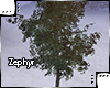 [Z.E] Tree v3