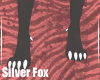 SilverFox-MaleFeetPaws