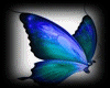 VL**Body + Saia Azul BF