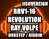 Revolution - Ray Volpe
