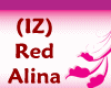 (IZ) Alina Red