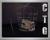 CTG BIRDCAGE WITH BOOKS