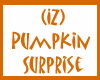 (IZ) Pumpkin Surprise