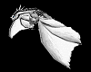 white dragons