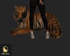 Big Tiger Pet
