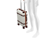 Female Small Suitcase