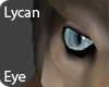 Lycan Eye