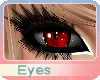 (OvO) Bear Red Eyes