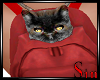 Kitty Backpack 5