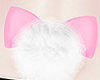 空 Tail Bunny Pink 空