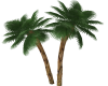 (MC) Trigress Palm Tree