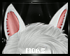 ~White Horse Ears V3~