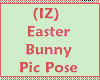 (IZ) Easter Bunny Poses