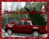 Christmas Tree Truck 