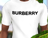 t-shirt burbe