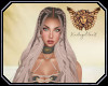 [ang]Willow Charlie