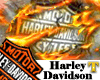 (TM)Harley Davidson fire