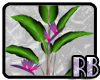 *RB* Loft Plant 3