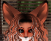 Foxy Ears V3