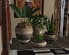 ~SL~ Wild Vases Set
