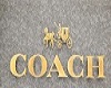 COACHS STORE SIGN