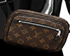 Bag LV Brown