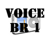 Voice BR 1