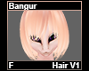 Bangur Hair F V1