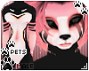 [Pets] Cass | abless fur