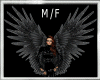 [wayu]Black Wings M/F