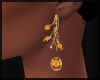 Amber Earrings ~