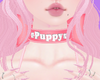 Puppy Bow Collar!