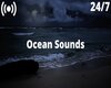 Ocean Sounds {F}