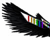 rainbownblack wings s.t.