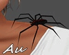 Spider on Shoulder