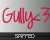 Gully Sign