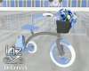 Kids 40% Tricycle