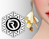 SV-Earrimg