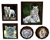 [PA]White Tigers Pics