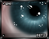 [PETS] Ezi | eyes
