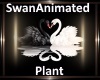 [BD]SwanAnimatedPlant