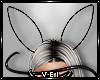 v. Dark Bunny: Ears (F)