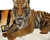 Tiger Cuddle Sofa
