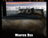 *Winter Bed