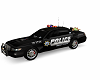 TPO Car Police